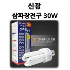 삼파장 램프 30W